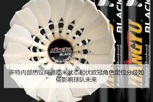 多特内部热议阿德耶米状态起伏欧冠角色定位分歧如何影响球队未来
